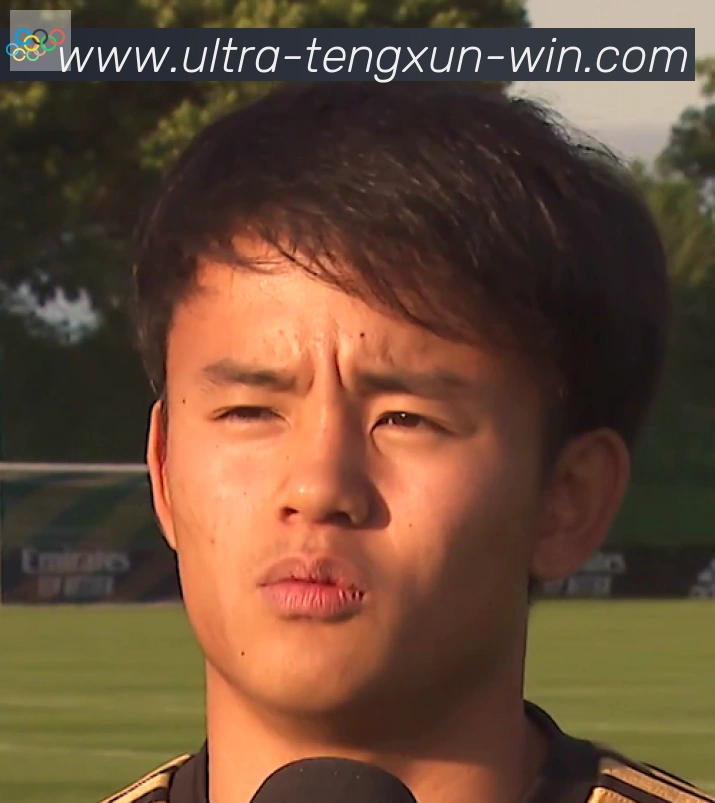 维尼修斯